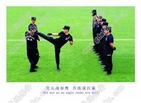 男儿战如鹰副本.jpg 男儿战如鹰副本.jpg