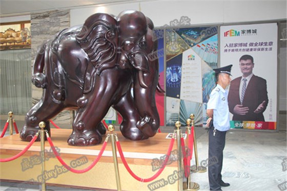 IMG_7694.JPG IMG_7694.JPG