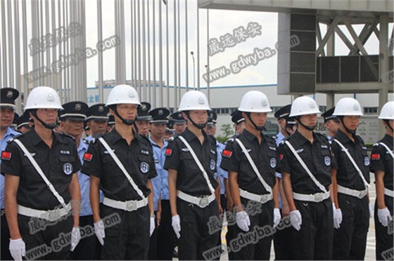 IMG_7808.JPG IMG_7808.JPG