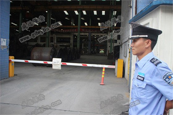 IMG_7866.JPG IMG_7866.JPG