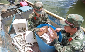 2890_5151815_534595.jpg 2890_5151815_534595.jpg