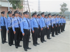 IMG_0993.JPG IMG_0993.JPG