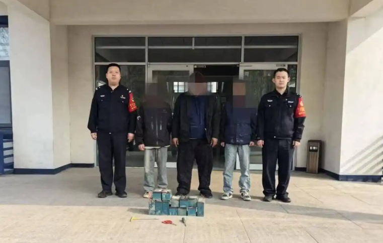 小区保安夜巡识可疑，警保联动20分钟擒贼！